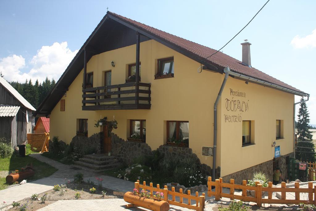Pension Tofalvi Harghita-Băi Exteriör bild
