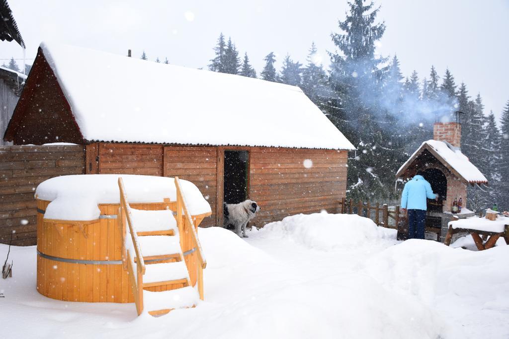 Pension Tofalvi Harghita-Băi Exteriör bild
