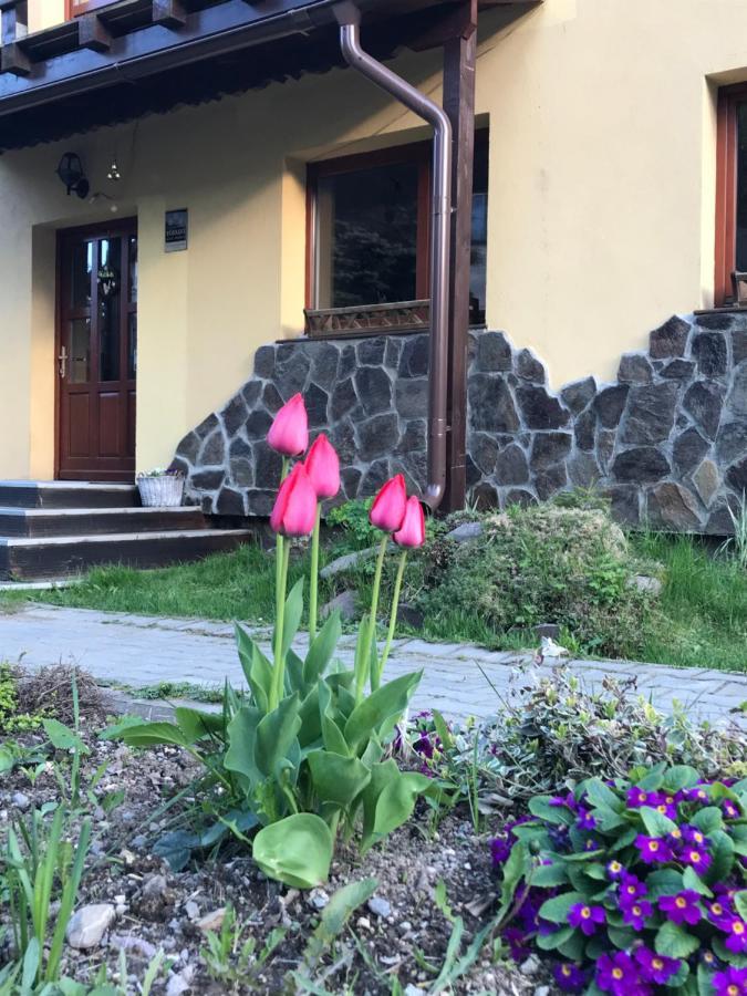 Pension Tofalvi Harghita-Băi Exteriör bild