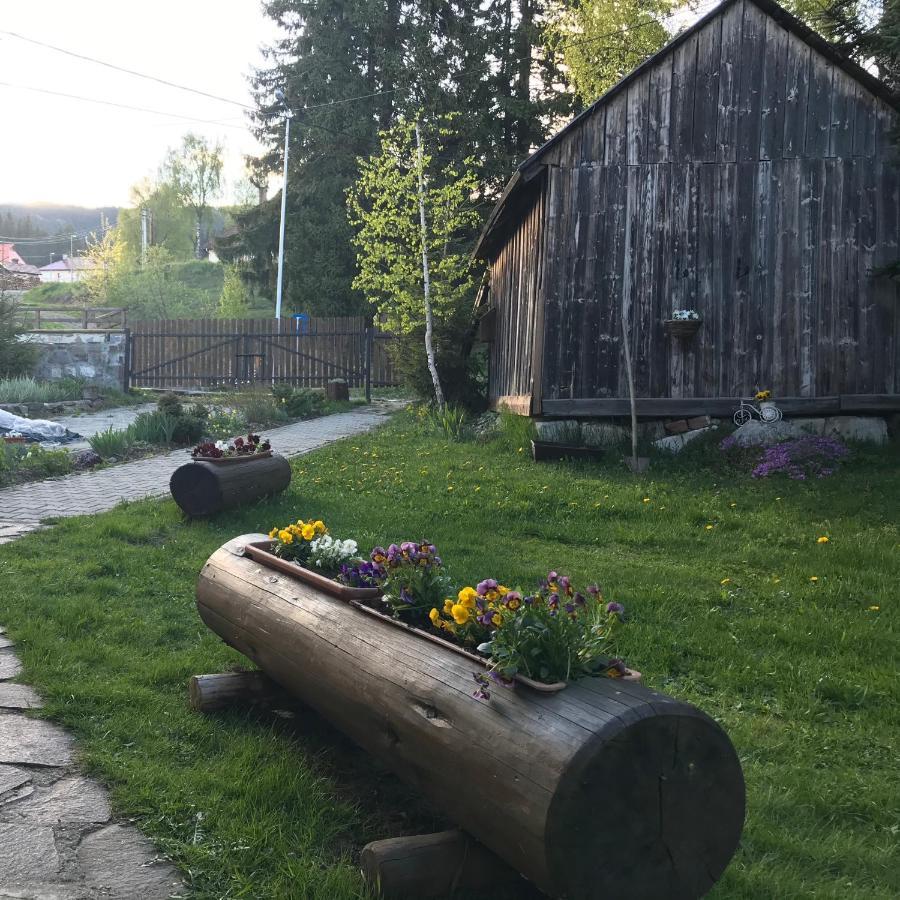 Pension Tofalvi Harghita-Băi Exteriör bild